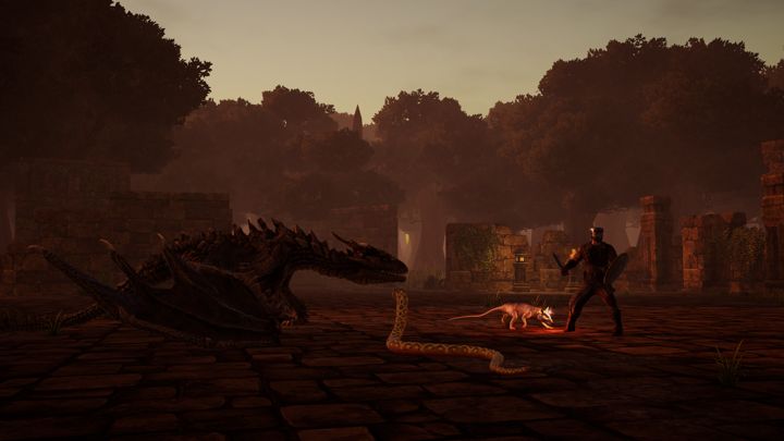 The Wyvern